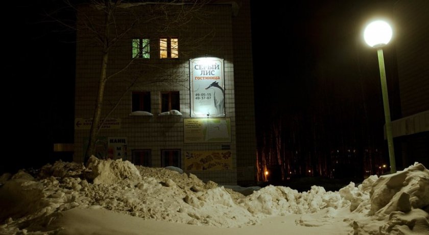 Гостиница Серый Лис Томск-45