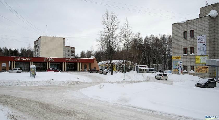 Гостиница Серый Лис Томск-41