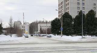 Гостиница Серый Лис Томск Номер "Стандарт"-39